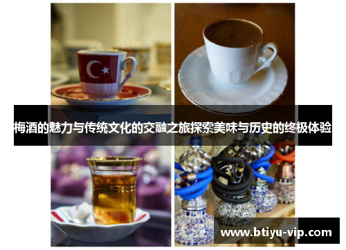 梅酒的魅力与传统文化的交融之旅探索美味与历史的终极体验