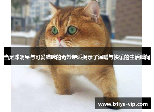 当足球明星与可爱猫咪的奇妙邂逅揭示了温暖与快乐的生活瞬间